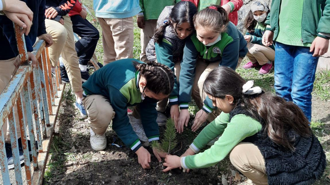 Eğitim Ortamları ve Fizikî İmkânlar Alanı